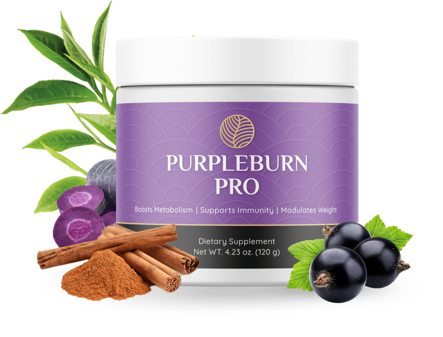 PurpleBurn Pro product image